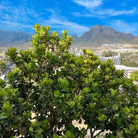 아파트 Tenerife Paradise Anna 아데제