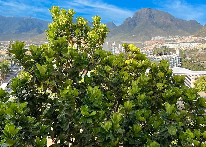 Lejlighed Tenerife Paradise Anna Costa Adeje (Tenerife)